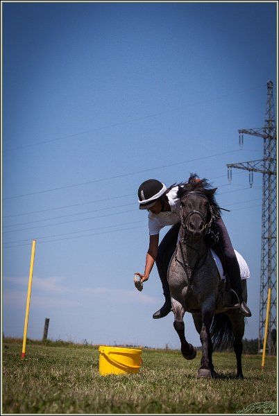 Mounted Games 213